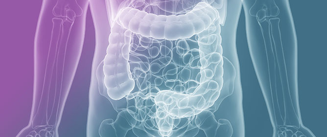 Unveiling the Impacts of Glyphosate, Deltamethrin, Propamocarb and Tebuconazole on Gut Health