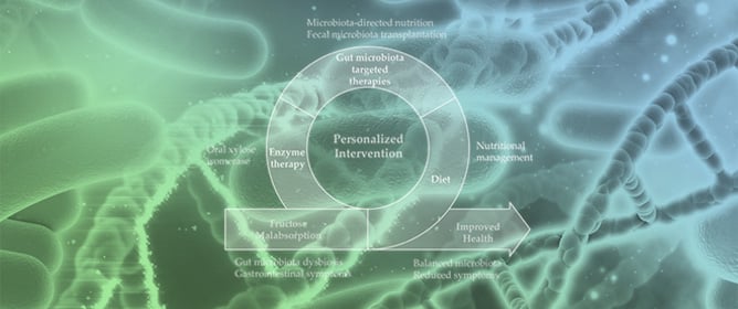 Fructose Malabsorption, Gut Microbiota and Clinical Consequences: A Narrative Review of the Current Evidence