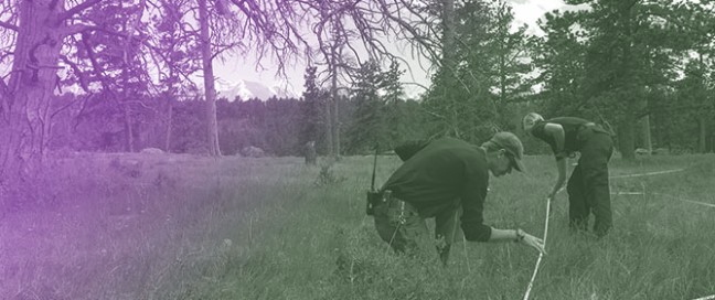 Interactive Visualizations of Integrated Long-Term Monitoring Data for Forest and Fuels Management on Public Lands