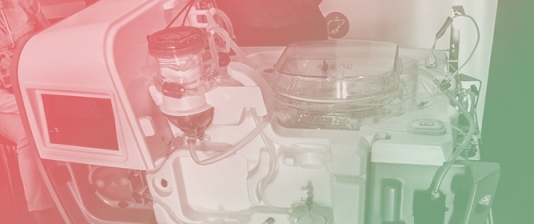 Dual, Split and Multi-Graft Liver Transplantation: Surgical Strategies to Maximize Liver Utilization