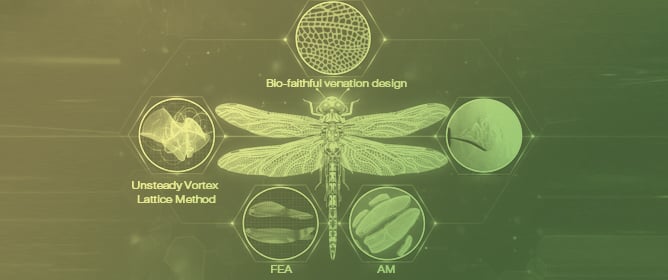 Additively Manufactured Dragonfly-Inspired Wings for Bio-Faithful Flapping MAV Development