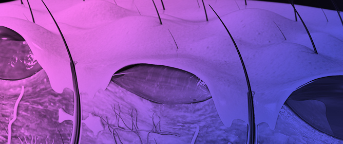 Analysis and Simulation of Dynamic Heat Transfer and Thermal Distribution in Burns with Multilayer Models Using Finite Volumes