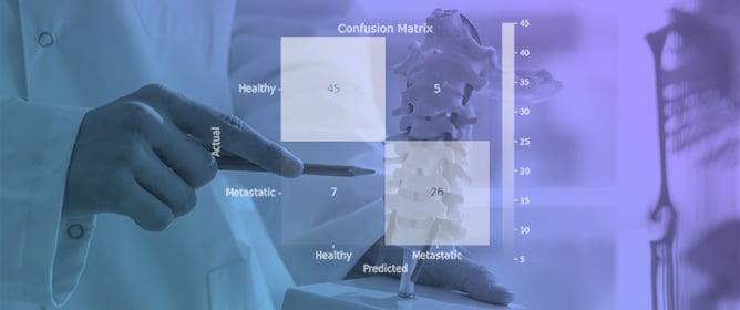 An End-to-End Radiomic Framework for Automatic Vertebral Lesion Classification and 3D Visualization