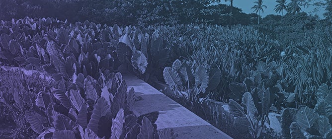 Structural Materials in Constructed Wetlands: Perspectives on Reinforced Concrete, Masonry, and Emerging Options