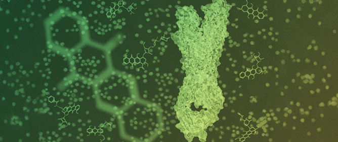 Predictive and Prognostic Relevance of ABC Transporters for Resistance to Anthracycline Derivatives