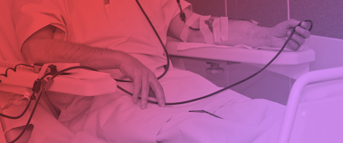 Real-World Assessment of Pharmacokinetics, Clinical Outcomes, and Costs After Switching from Standard Half-Life to Extended Half-Life FVIII in Well-Controlled Hemophilia A Patients