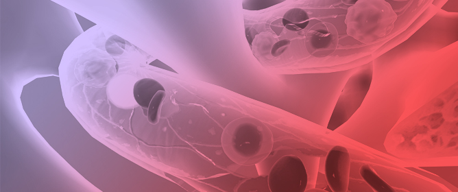 Navigating the New Era in Myelodysplastic Neoplasms: A Review of Prognostic Implications of the IPSS-M Score and 2022 WHO Classification