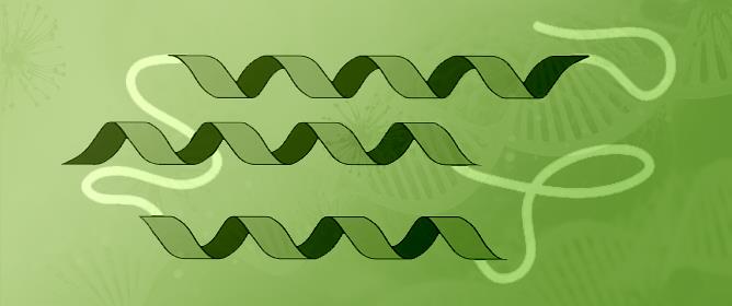 Targeting the Cellular Prion Protein as a Biomarker for Stem Cells, Cancer, and Regeneration