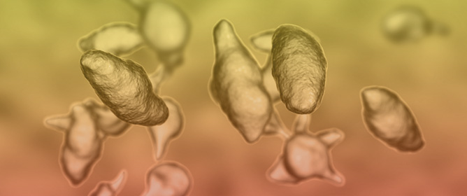 Piercing Through: Lefamulin Treatment of an Antibiotic-Resistant Mycoplasma Genitalium Urethritis