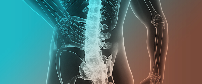 Evaluating the Outcomes of Vertebral Biopsies Performed in Osteoporotic Vertebral Fractures: A Systematic Review and Meta-Analysis