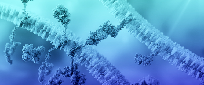 GPCR-Mediated Cell Intelligence: A Potential Mechanism for Survival and Long-Term Health