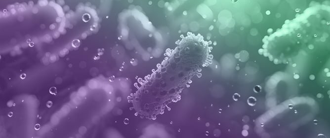 Benzimidazole-Quinoline Hybrids: Synthesis and Antimicrobial Properties