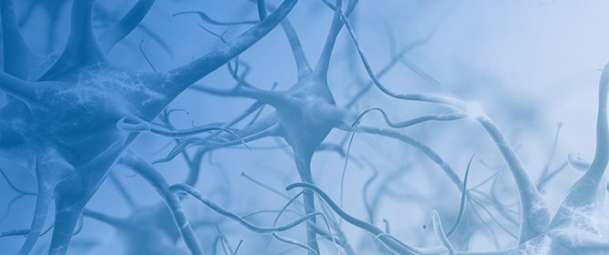 Stroke Neurorehabilitation and the Role of Motor Imagery Training: Do ARAT and Barthel Index Improvements Support Its Clinical Use? A Systematic Review and Meta-Analysis