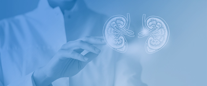 Clinical Characteristics, Microbiological Spectrum, Biomarkers, and Imaging Insights in Acute Pyelonephritis and Its Complicated Forms&mdash;A Systematic Review
