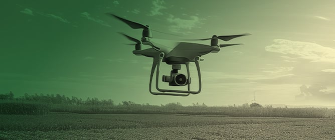 Photosynthetic and Canopy Trait Characterization in Soybean (<em>Glycine max</em> L.) Using Chlorophyll Fluorescence and UAV Imaging