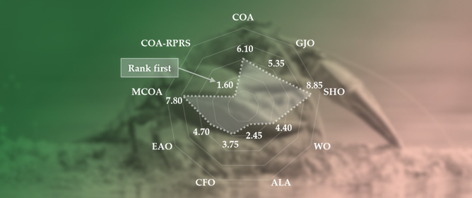 A Crayfish Optimization Algorithm with a Random Perturbation Strategy and Removal Similarity Operation for Color Image Enhancement