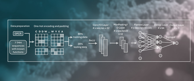 Identification and Classification of Fungal GPCR Gene Families