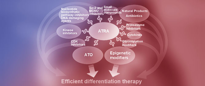Reawakening Differentiation Therapy in Acute Myeloid Leukemia: A Comprehensive Review of ATRA-Based Combination Strategies