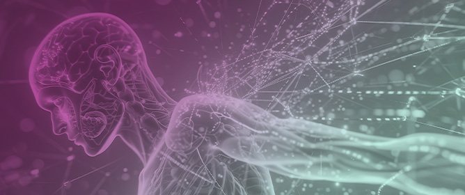 Integrative Neuroimmune Role of the Parasympathetic Nervous System, Vagus Nerve and Gut Microbiota in Stress Modulation: A Narrative Review