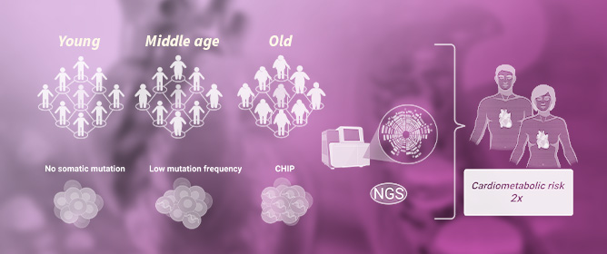Clonal Hematopoiesis of Indeterminate Potential and Cardiometabolic Disease: Challenges, Controversies and Future Perspectives