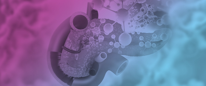 The Influence of Glucagon-like Peptide-1 Receptor Agonists and Other Incretin Hormone Agonists on Body Composition