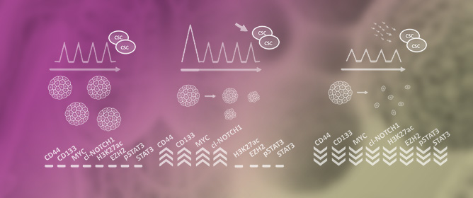 Metronomic 5-Fluorouracil and Vinorelbine Reduce Cancer Stemness and Modulate EZH2/NOTCH-1/STAT3 Signaling in Triple-Negative Breast Cancer Spheroids