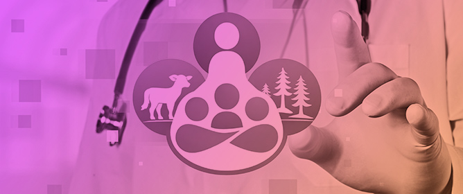 Mediation in One Health Governance