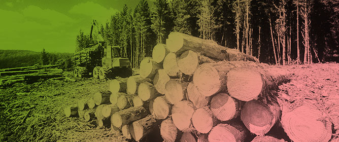 The Nature of Lignin and Implications for Its Technical Use as a Source for Biogenic Aromatics&mdash;A Review