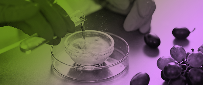 New Approaches for the Extraction of Anthocyanins from Grape Skins Using Deep Eutectic Solvents