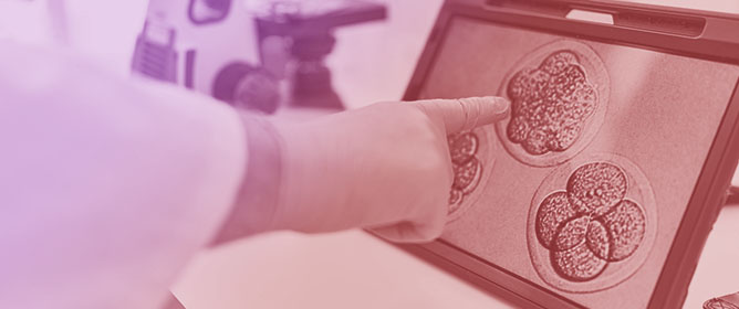 Association Between Serum Progesterone Levels on the Day of Frozen&ndash;Thawed Embryo Transfer and Pregnancy and Neonatal Outcomes