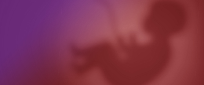 Assessing Thrombophilic Risk via Placental Histopathology: A Comparative Scoring Analysis