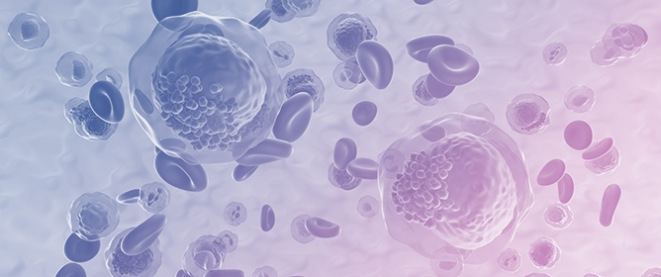 DNMT3B Controls Enhancer-Linked Chromatin and Cell Cycle Networks in Acute Myeloid Leukemia