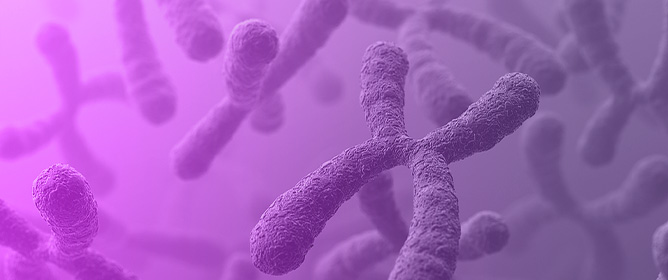 At the Crossroads of Continents: Ancient DNA Insights into the Maternal and Paternal Population History of Croatia