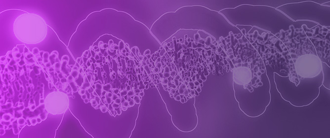 HNF4&alpha; as a Master Regulator of Epigenetic Dynamics in Epithelial Cells