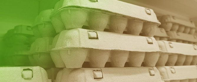 Silky Fowl (<em>Gallus gallus domesticus</em>) Dietary Supplementation with Dried Red Pepper (<em>Capsicum annuum</em>): Effects on Egg Quality, Blood Biochemical Parameters, and Egg Storage Stability