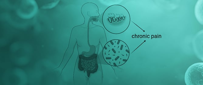 In the Mouth or in the Gut? Innovation Through Implementing Oral and Gastrointestinal Health Science in Chronic Pain Management