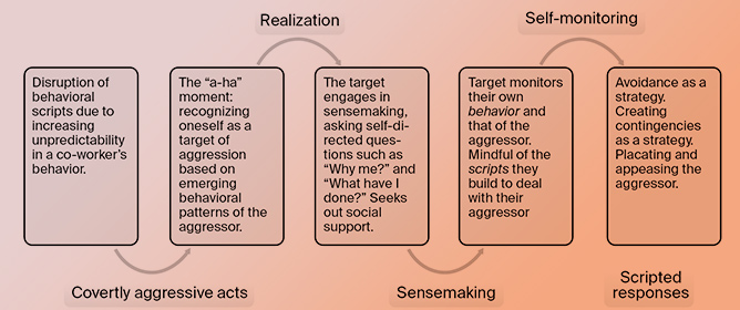 Cognitively Processing Covert Aggression from a Target&rsquo;s Perspective