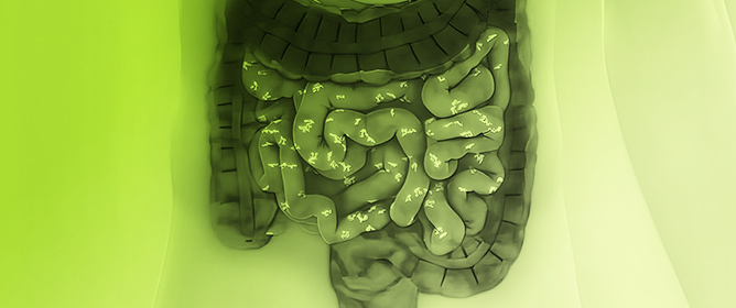 Dietary and Medical Management of Small-Intestinal Bacterial Overgrowth: A Narrative Review