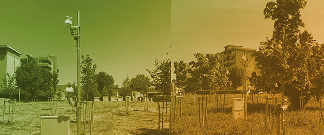 Quantifying Urban Air Pollution Mitigation by Tree Canopies Using Low-Cost Sensors