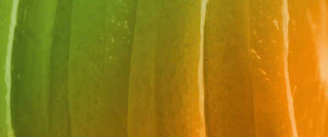 Modification of the Polyphenolic Profile and Enhancement of Antioxidant Activity of Waste Orange Peel Extracts Using Alkali-Catalyzed Ethanol Organosolv Treatment