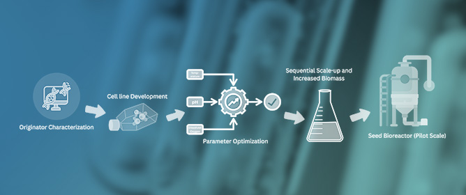 Biosimilars: Bridging the Gap in Biologics, Access, and Affordability
