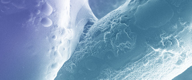 Impact of Microplastics on Copper Electrodeposition: Morphological and Electrochemical Insights