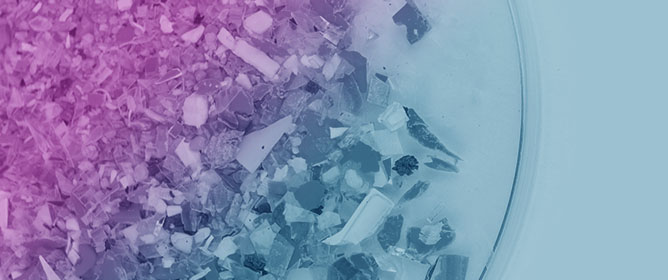 Size- and Surface Charge-Depending Effects of Polystyrene Nanoplastics on Cells of the Neurovascular Unit