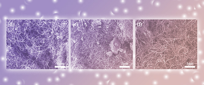 Molecular Adsorption Versus Particulate Loading: Structure&ndash;Activity Relationship of Sulfonated Cobalt Phthalocyanine in Sulfur Cathodes