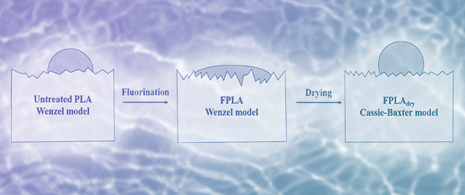 Tuning Hydrophilic&ndash;Hydrophobic Properties of PLA Films Through Surface Fluorination and Drying