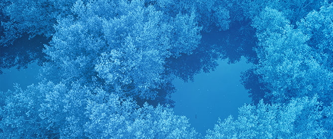 Vegetation Index Comparison for Estimating Above-Ground Carbon (Cag) in Mangrove Forests Using Sentinel-2 Imagery: Case Study from West Bali, Indonesia