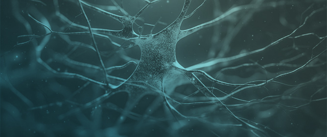 Sense of Time in Neurodevelopmental Disorders: ADHD and Developmental Dyscalculia from a Dimensional and Transdiagnostic Perspective