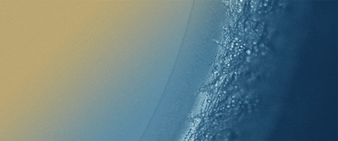 Design and Characterization of a Fully Automated Free-Standing Liquid Crystal Film Holder