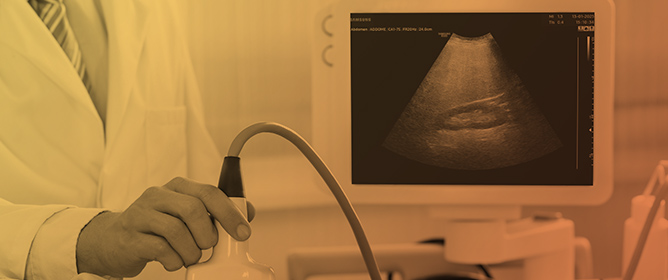 Clinical Value of Ultrasound Fat Fraction in Grading Hepatic Steatosis: Preliminary Cut-Off Values in Obese Patients