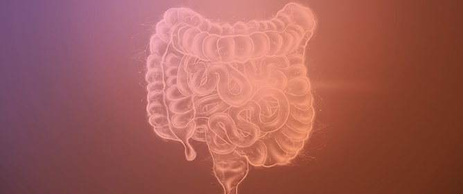 Gut Dysbiosis and Arrhythmogenesis: The Potential Role of Microbial Alterations and Small Intestinal Bacterial Overgrowth in Cardiac Arrhythmias